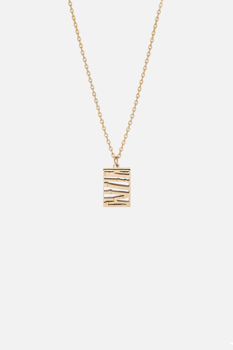 🎁 LUMÎÈRE NECKLACE (100% off)